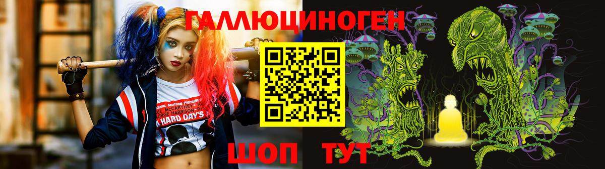 Галлюциногенные грибы Psilocybe Москва