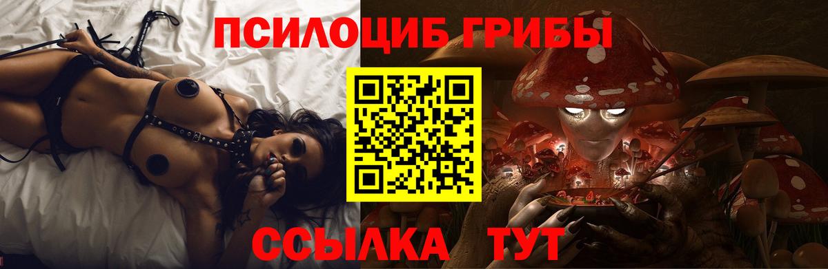 Москва  Псилоцибиновые грибы GOLDEN TEACHER  Вход с VPN 